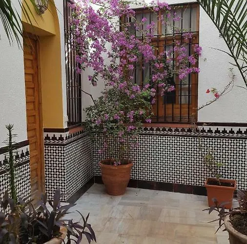 Casa Tipica Cordobesa Διαμέρισμα