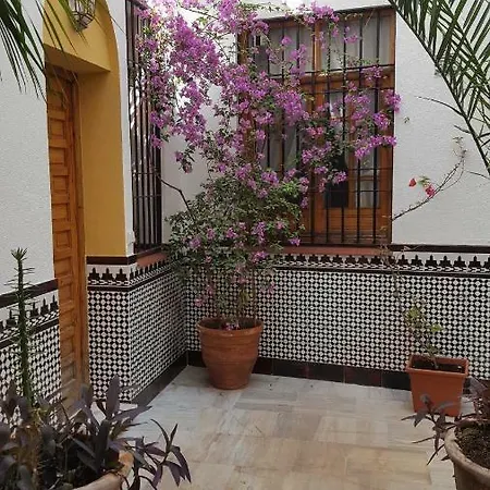Casa Tipica Cordobesa Apartment