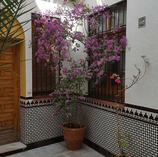 Apartment Casa Tipica Cordobesa Cordoba