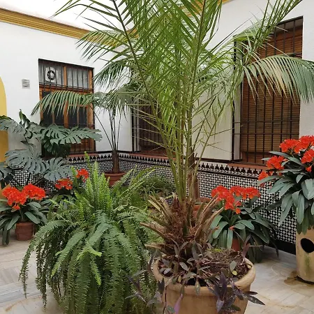 Casa Tipica Cordobesa קורדובה