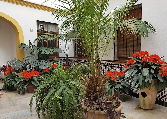 Casa Tipica Cordobesa קורדובה